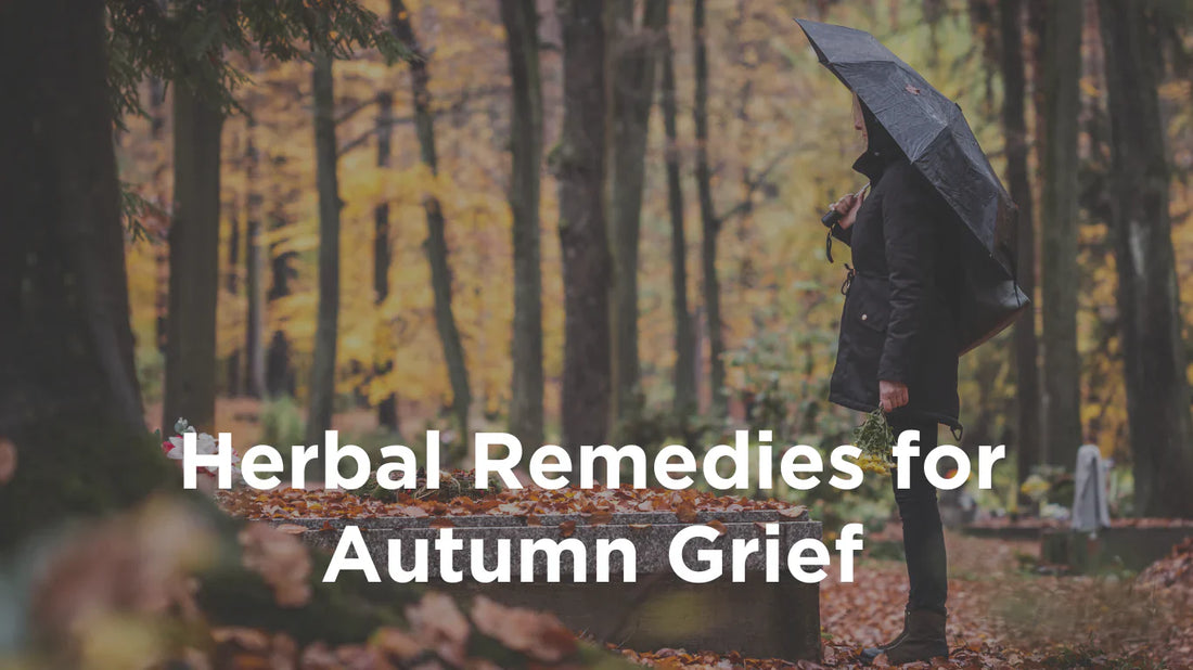 Seasonal Sadness: Grief, Depression, and Emotional Balance in Autumn
