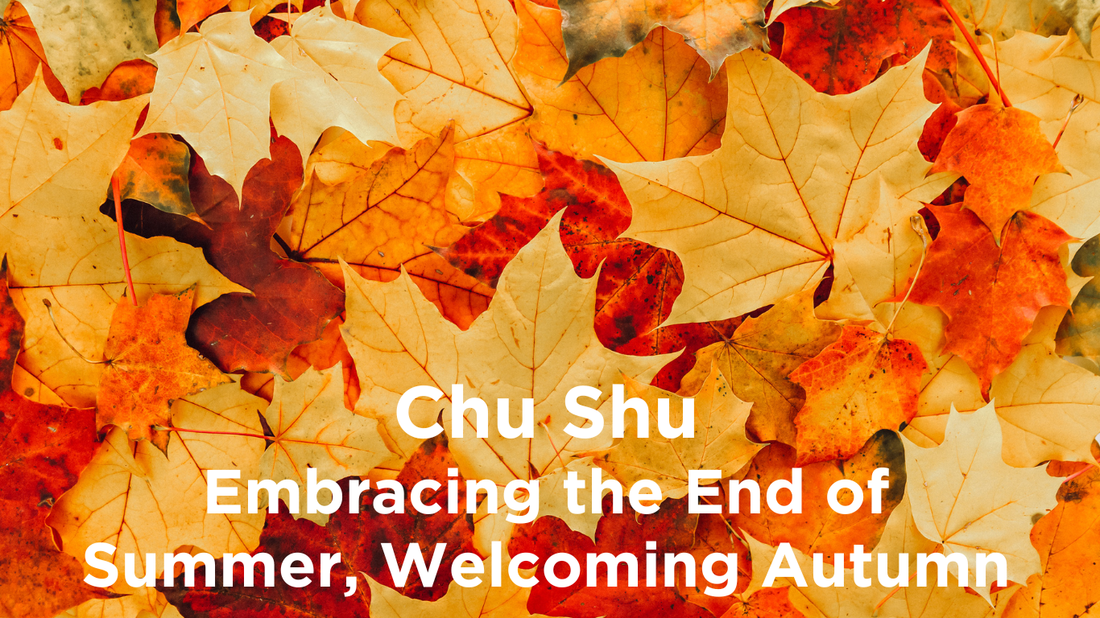 Chu Shu: Embracing the End of Summer, Welcoming Autumn