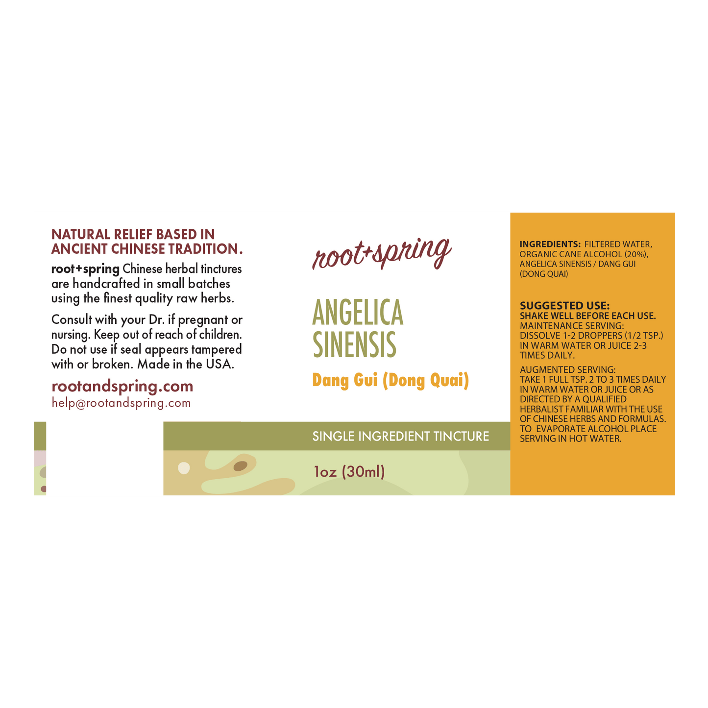 Front label of a Root + Spring Angelica Sinensis Deng Gui single ingredient tincture bottle, showing product details, ingredients, and usage instructions on a white background.