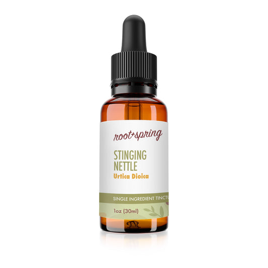 Bottle of Stinging Nettle (Urtica Dioica) Herbal Tincture by root + spring.