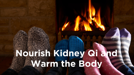 Image for root + spring's blog article titled: Nourish Kidney Qi and Warm the Body