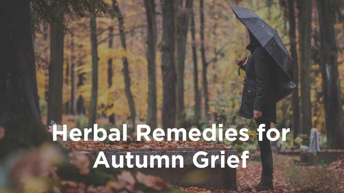Seasonal Sadness: Grief, Depression, and Emotional Balance in Autumn ...