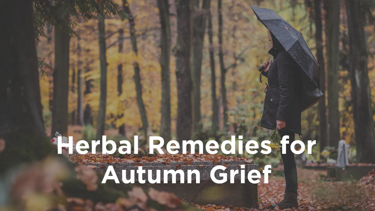 Seasonal Sadness: Grief, Depression, and Emotional Balance in Autumn