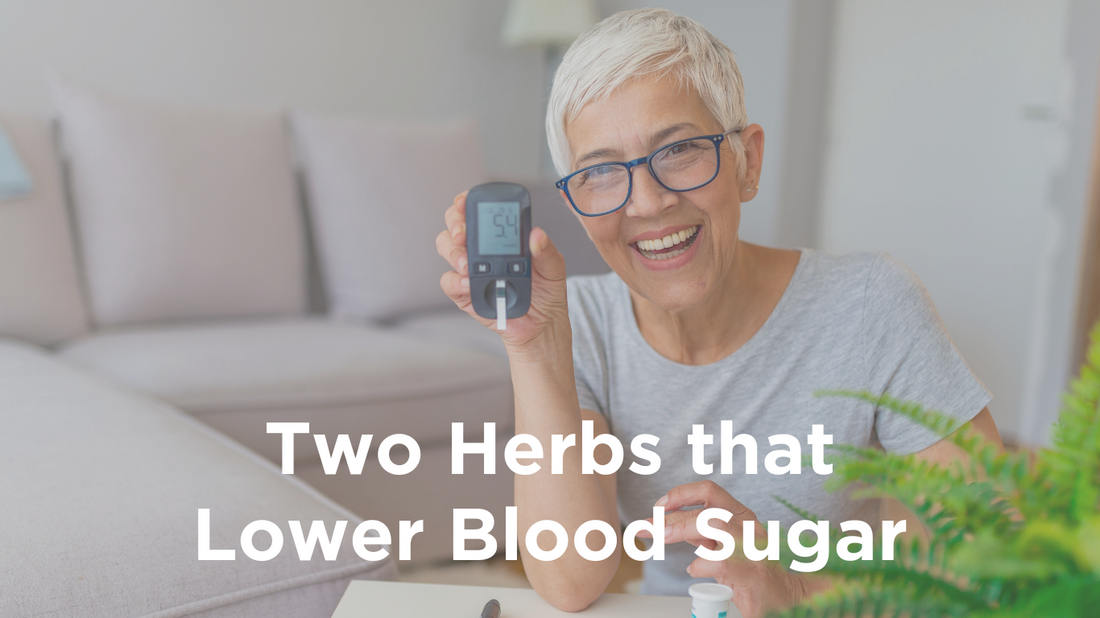 Featured image for root + spring's blog titled "The Two Natural Remedies You Need to Know to lower Blood Sugar".