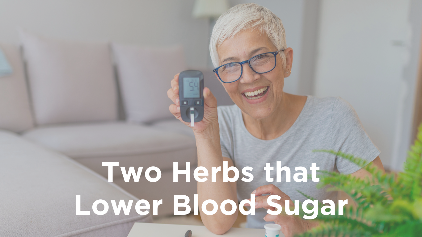 Featured image for root + spring's blog titled "The Two Natural Remedies You Need to Know to lower Blood Sugar".