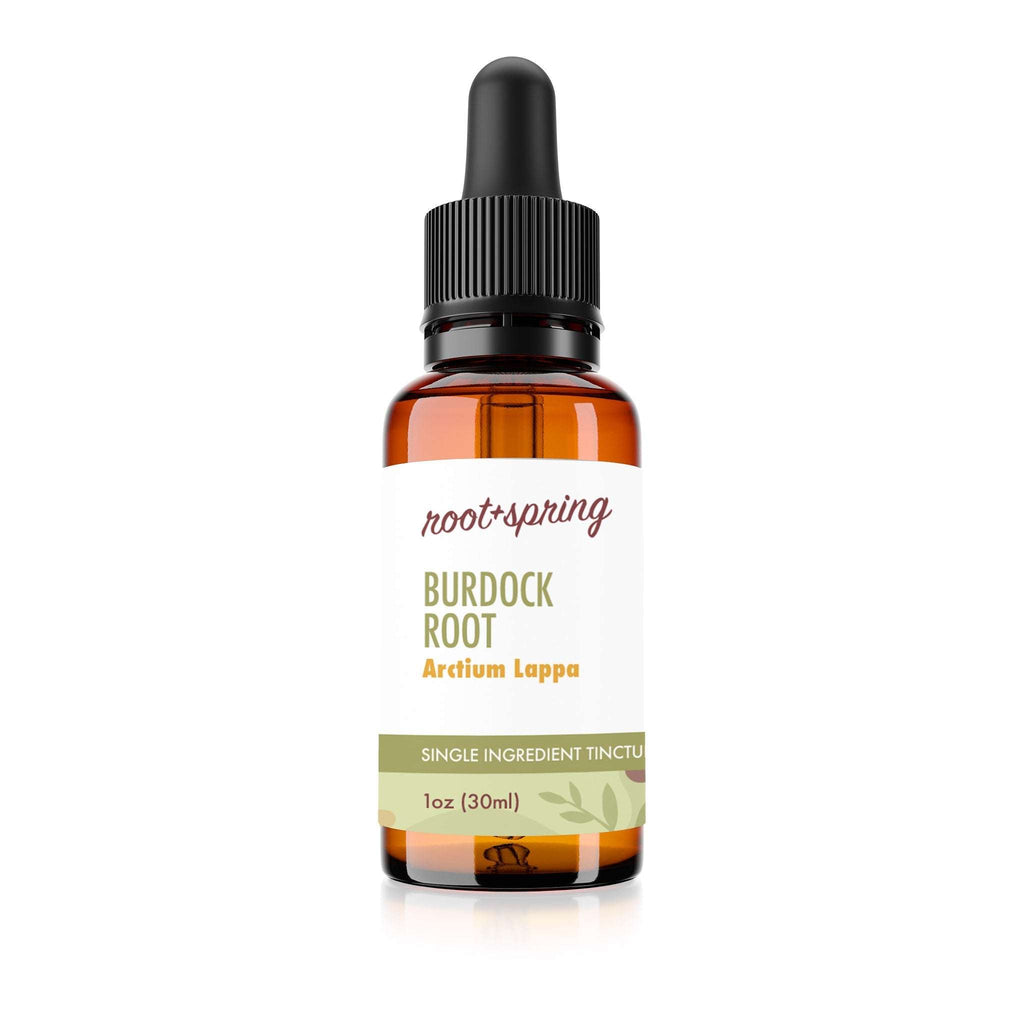 Bottle of Burdock Root  (Arctium Lappa) - Herbal Tincture by root + spring