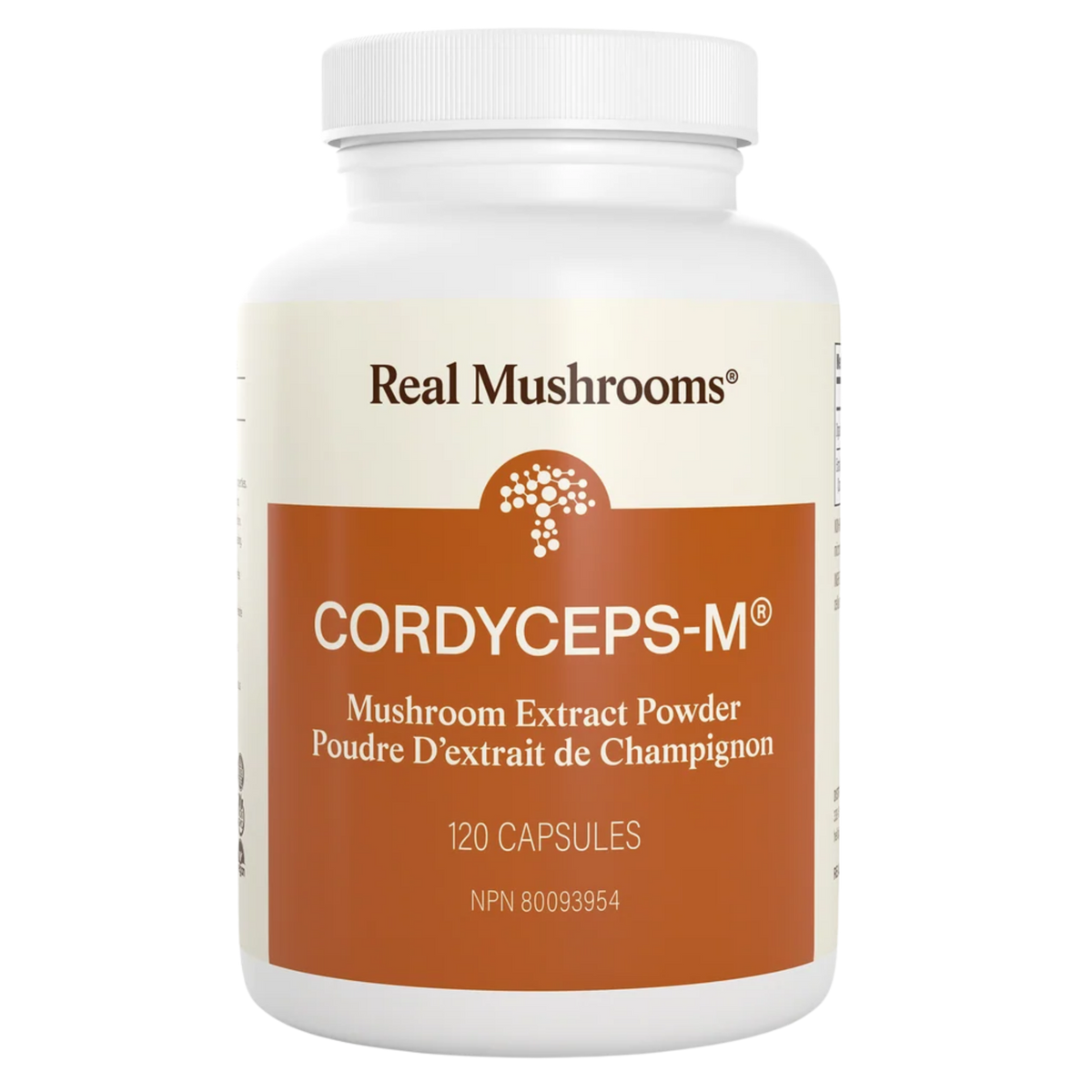 image of Organic Cordyceps Extract Capsules
