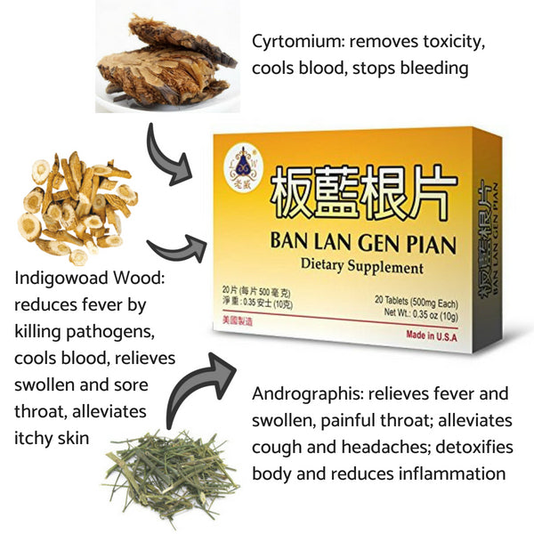 Isatis Root Blend (Ban Lan Gen Pian) | by Lao Wei