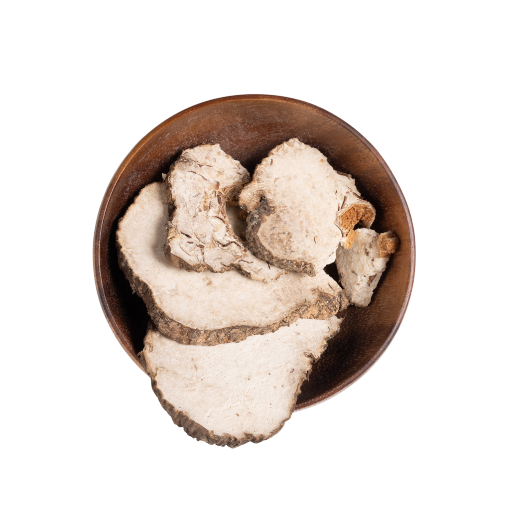 Image for root + spring's premium raw herb poria mushroom (tuckahoe) or bao mu fu shen out of the bag.