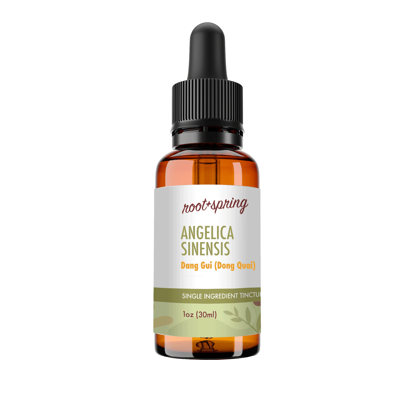 A 1 oz amber glass dropper bottle of Root+Spring Angelica Sinensis Tincture on a solid white background.