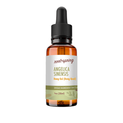 A 1 oz amber glass dropper bottle of Root+Spring Angelica Sinensis Tincture on a solid white background.