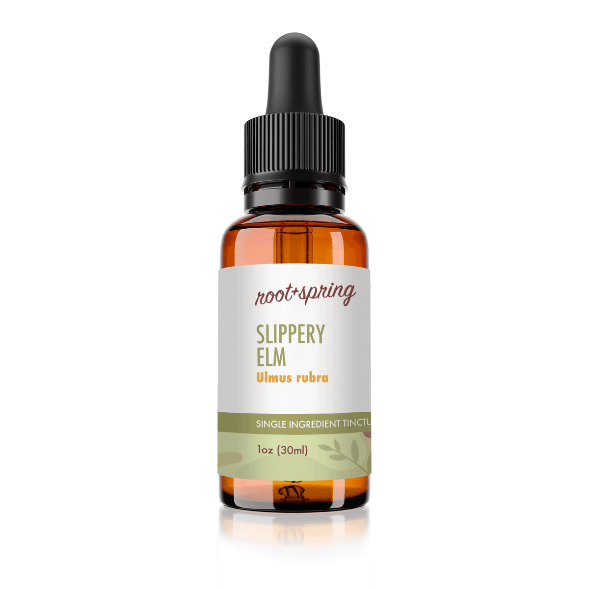 image of Slippery Elm (Ulmus Rubra) | Herbal Tincture