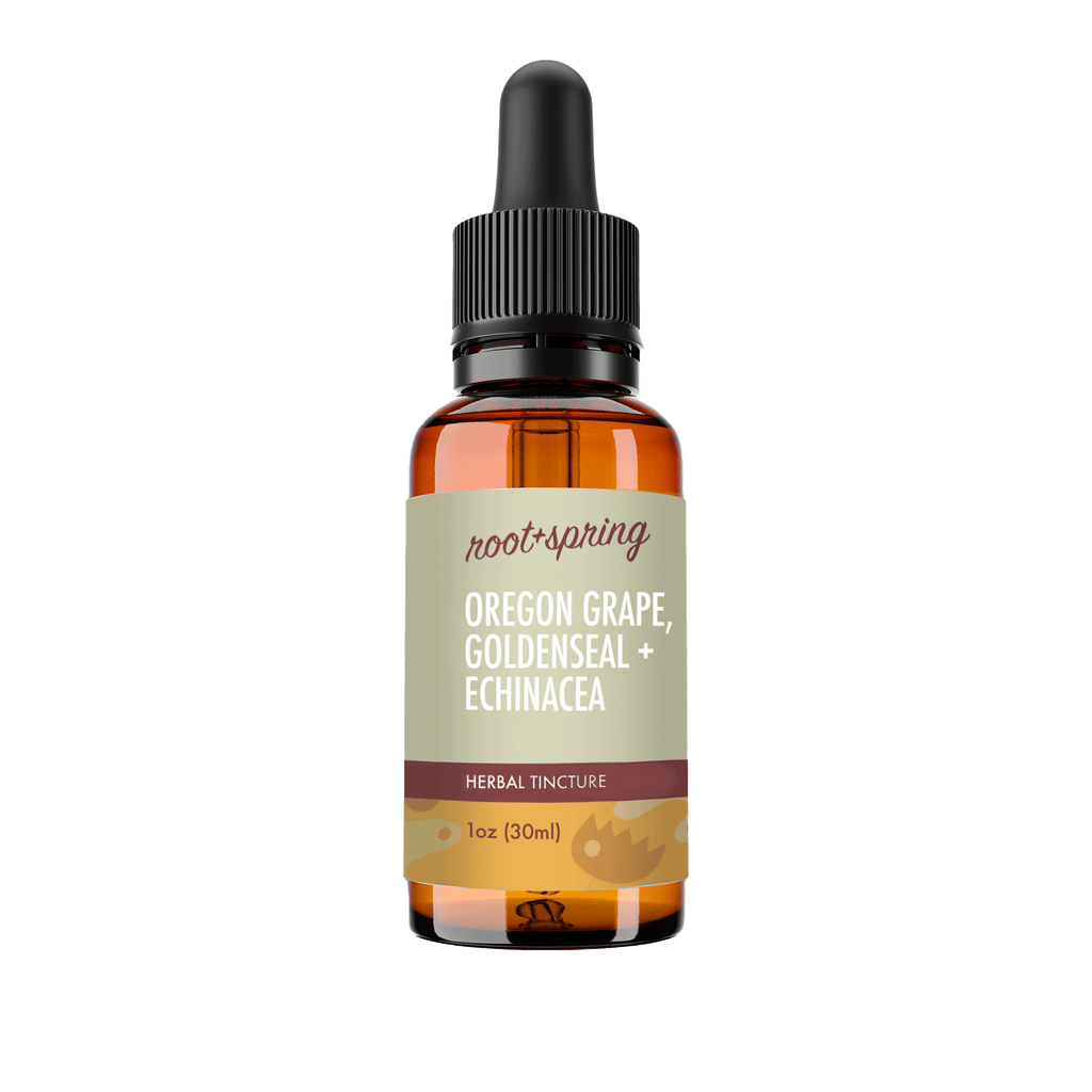 A 1 oz amber glass dropper bottle of Root+Spring Oregon Grape, Goldenseal  + Echinacea Herbal Tincture, featuring a light beige label with dark red and black text, and a black dropper cap, isolated on a white background.
