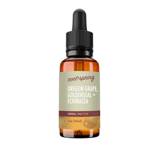 A 1 oz amber glass dropper bottle of Root+Spring Oregon Grape, Goldenseal  + Echinacea Herbal Tincture, featuring a light beige label with dark red and black text, and a black dropper cap, isolated on a white background.