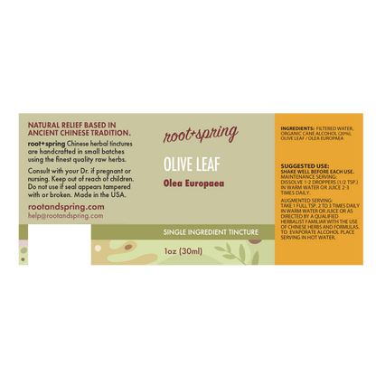 A rectangular product label for Root + Spring Olive Leaf Olea Europaea single ingredient tincture, with a cream background and tan side panels, green leaf illustrations, and black text detailing ingredients, usage, and dosage.