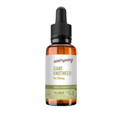 A 30ml amber glass dropper bottle of Root+Spring Giant Knotweed Hu Zhang single ingredient tincture, featuring a white label with green and orange text and a black dropper cap, set against a plain white background.
