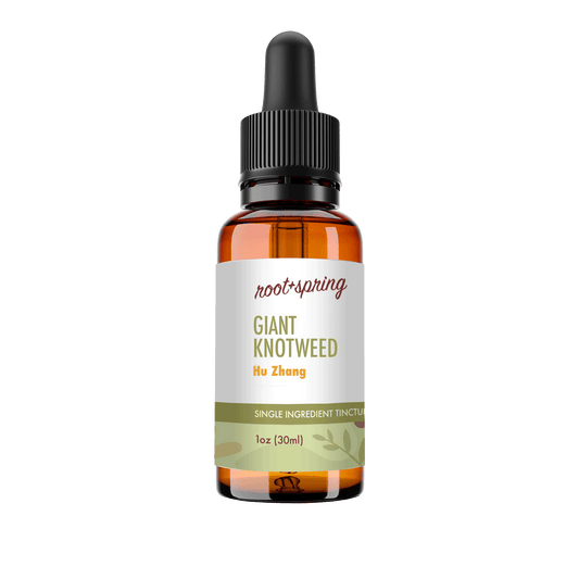 A 30ml amber glass dropper bottle of Root+Spring Giant Knotweed Hu Zhang single ingredient tincture, featuring a white label with green and orange text and a black dropper cap, set against a plain white background.