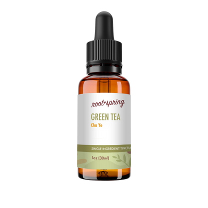 A 1 oz amber glass dropper bottle of Root+Spring Green Tea Cha Ye single ingredient tincture, featuring a white label with green and orange text, and a black dropper cap, isolated on a white background.