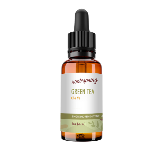A 1 oz amber glass dropper bottle of Root+Spring Green Tea Cha Ye single ingredient tincture, featuring a white label with green and orange text, and a black dropper cap, isolated on a white background.