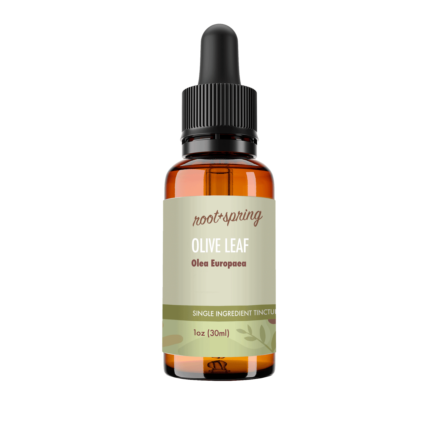 A 1 oz amber glass dropper bottle of Root+Spring Olive Leaf Olea Eurpaea  tincture, featuring a black dropper cap and a light sage green label with brown text, set against a plain white background.