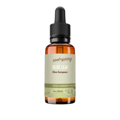 A 1 oz amber glass dropper bottle of Root+Spring Olive Leaf Olea Eurpaea  tincture, featuring a black dropper cap and a light sage green label with brown text, set against a plain white background.