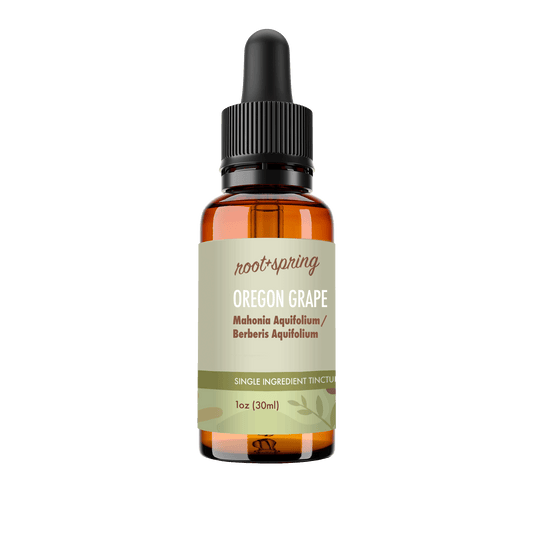 A 1 oz amber glass dropper bottle of Root+Spring Oregon Grape tincture with a black dropper cap and a light olive-green label, shown on a solid white background.