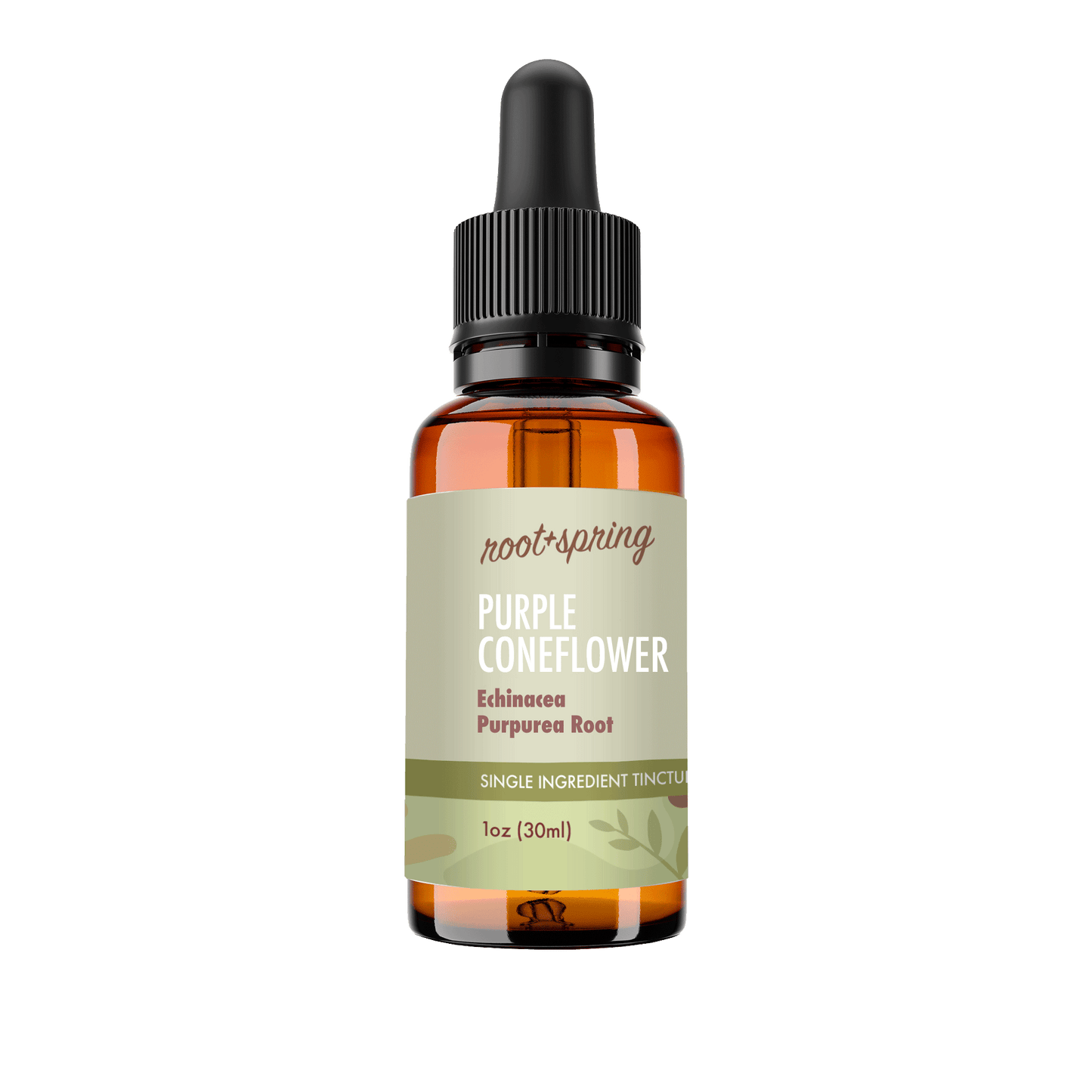 A 1oz amber glass dropper bottle of Root+Spring Purple Coneflower single ingredient tincture, featuring a black dropper cap and a light sage green label with brown text and botanical illustrations.