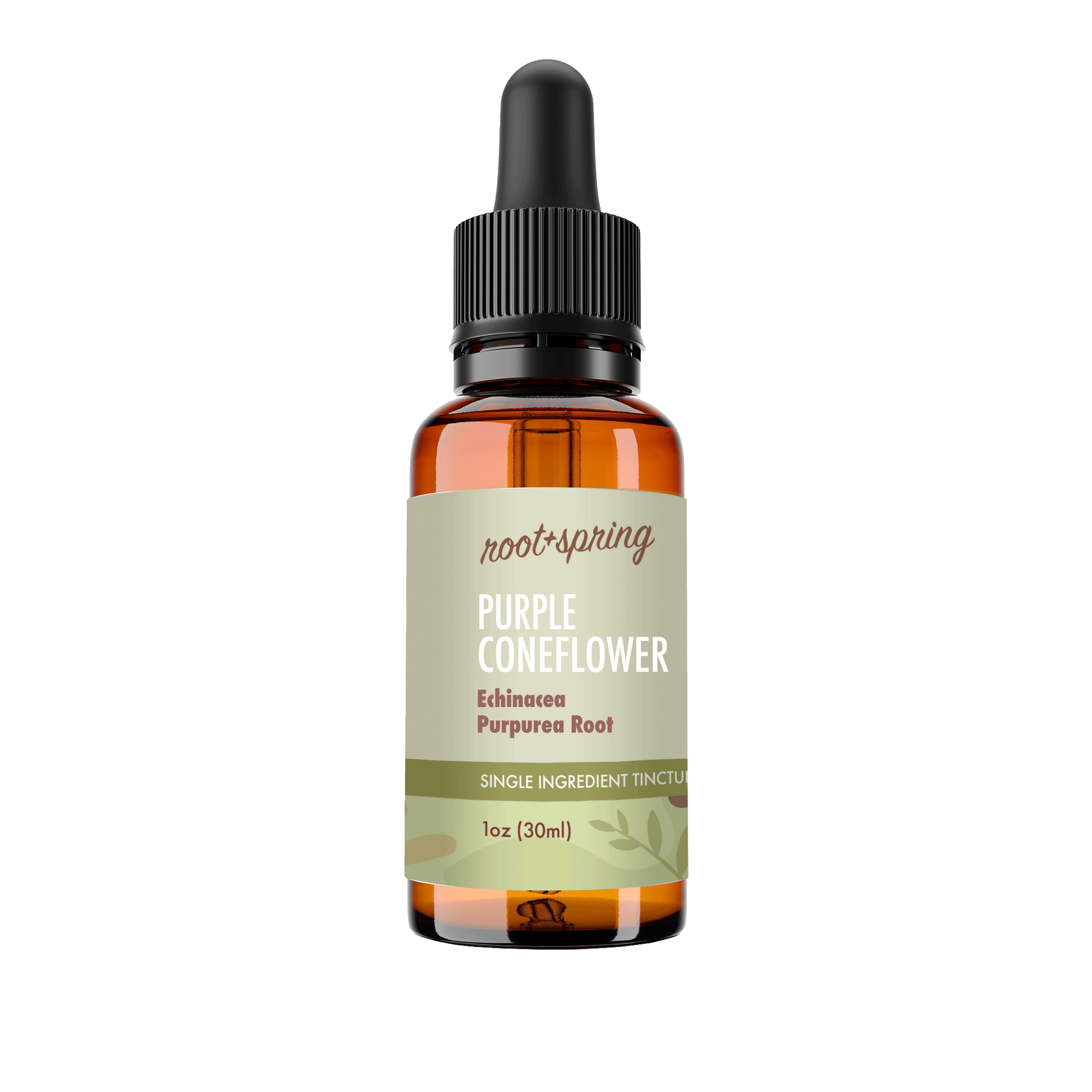 A 1oz amber glass dropper bottle of Root+Spring Purple Coneflower single ingredient tincture, featuring a black dropper cap and a light sage green label with brown text and botanical illustrations.