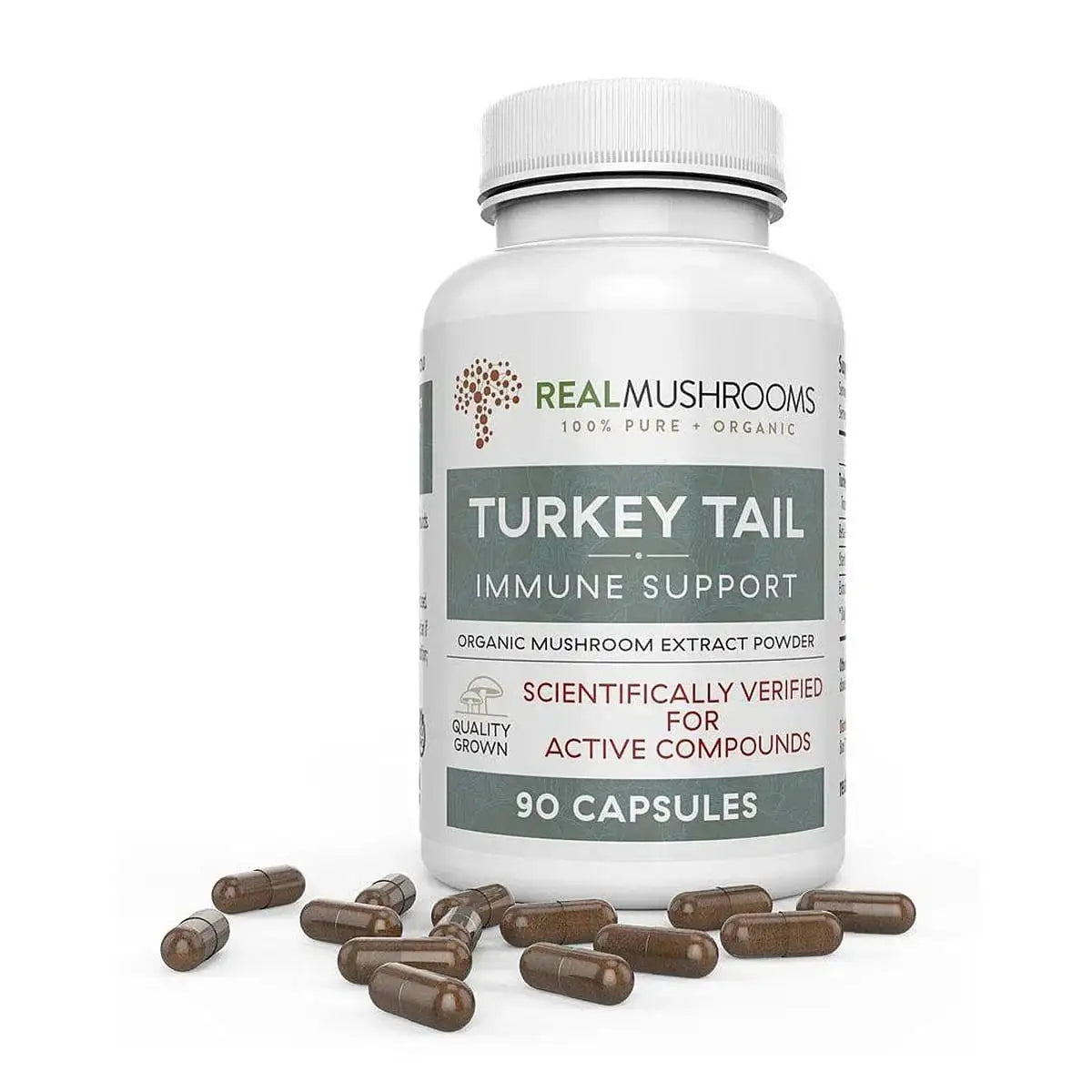 images of Turkey Tail Immune Support organic mushroom extract powder by Real mushrooms