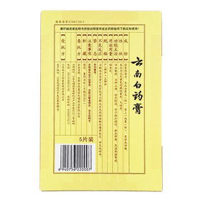 Injury Aid | Yunnan Baiyao Plasters | rootandspring.com