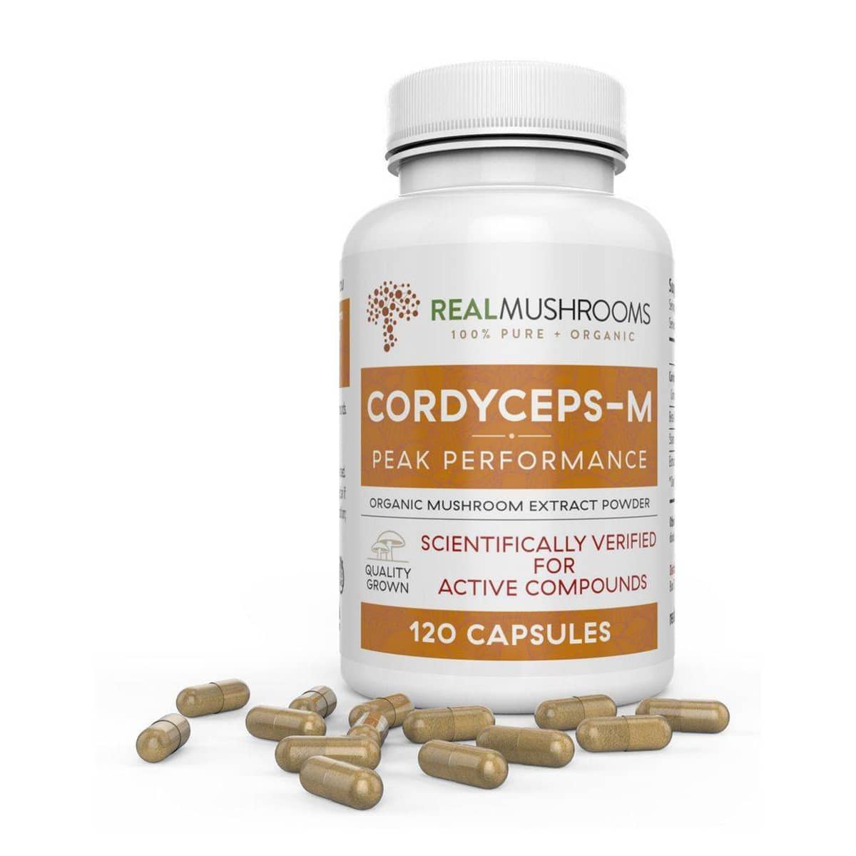 image of Organic Cordyceps Extract Capsules