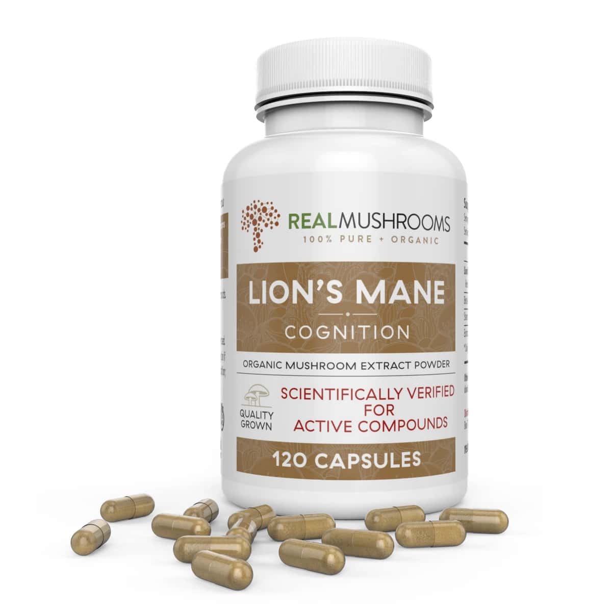 image of Organic Lion's Mane Extract Capsules